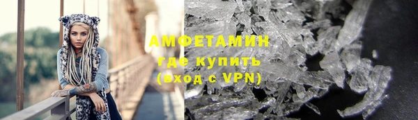 СК Алексин