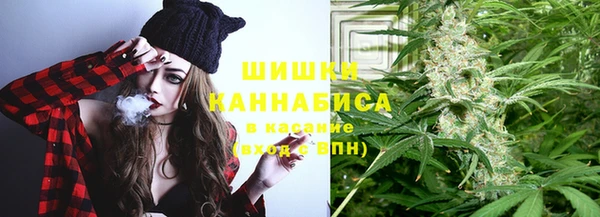 СК Алексин