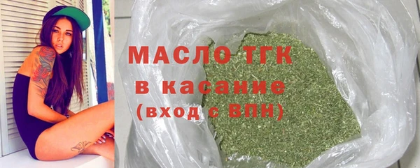 СК Алексин