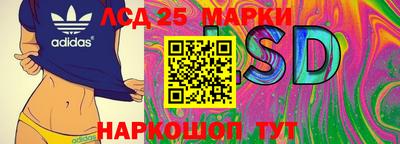 гидра Гусев
