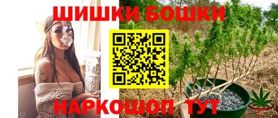 гидра Гусев