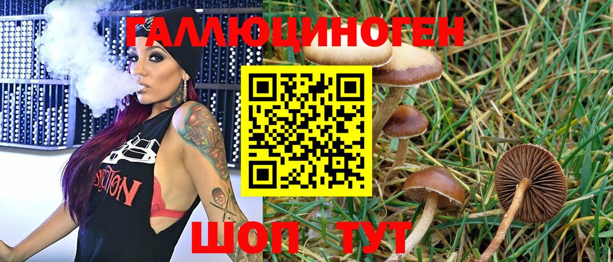 Керчь  где найти наркотики  Вход с VPN  Псилоцибиновые грибы Magic Shrooms 